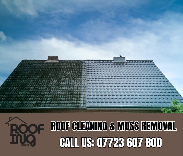 Roof cleaning and moss removal in Truro